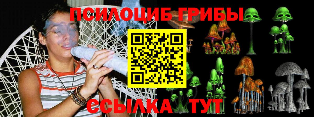 где купить наркоту  Галлюциногенные грибы GOLDEN TEACHER  Псилоцибиновые грибы мицелий  Вход с VPN  Обь 